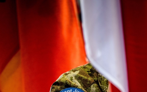 Trident Juncture 2015