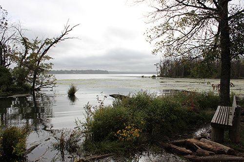 Dyke Marsh Wildlife Preserve