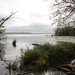 Dyke Marsh Wildlife Preserve