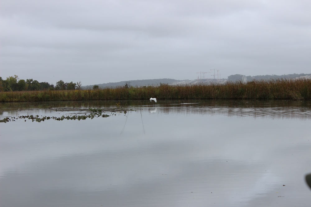 Dyke Marsh Wildlife Preserve