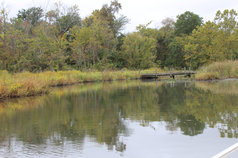 Dyke Marsh Wildlife Preserve