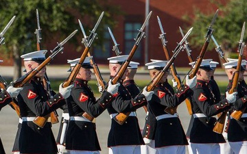 Century of making Marines