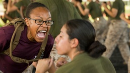 Marine recruits build learn close combat skills on Parris Island