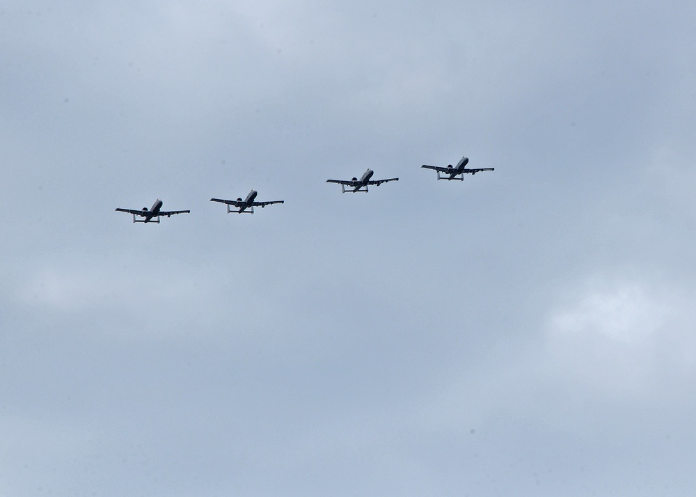 Fini formation