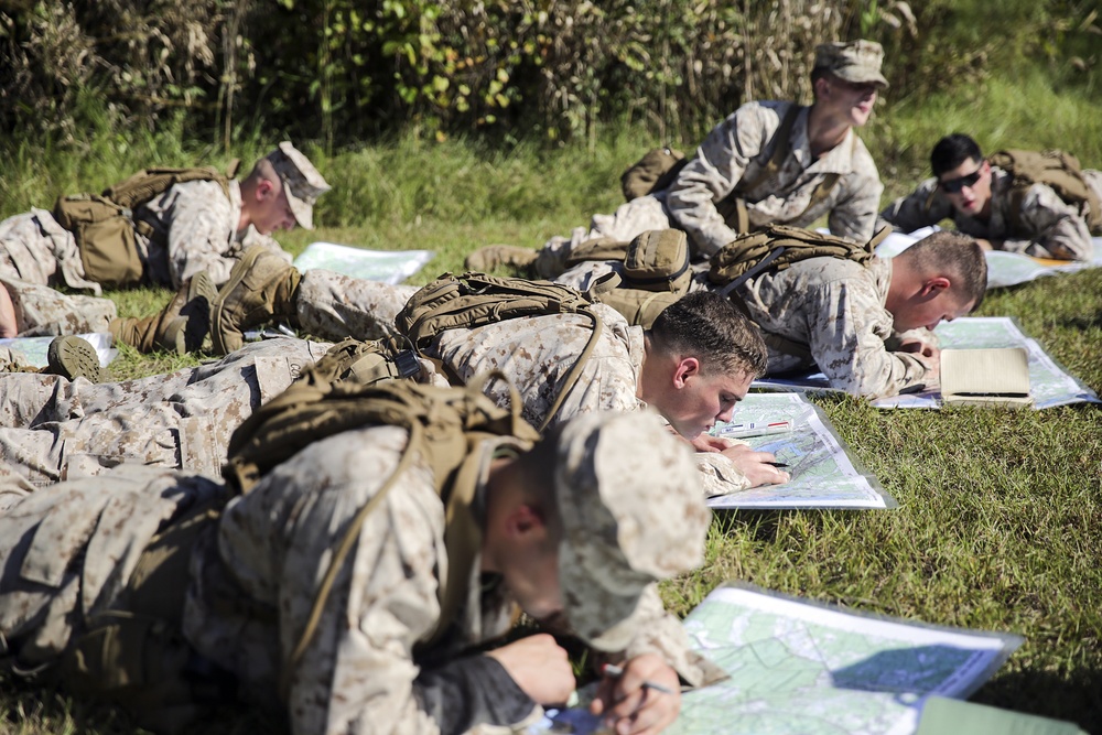 2/8 scout sniper platoon begins pre-screener