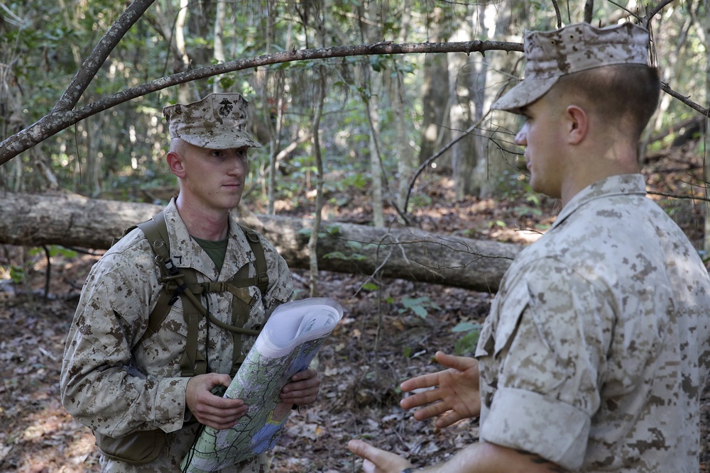 2/8 scout sniper platoon begins pre-screener