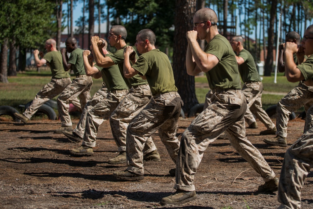 Mike Company – Martial arts qualification – Oct. 8, 2015