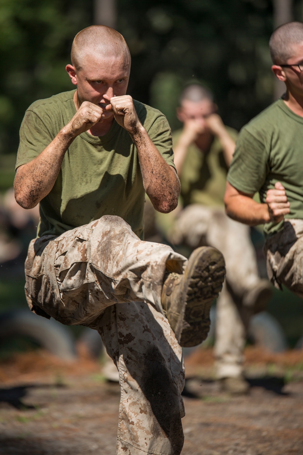 Mike Company – Martial arts qualification – Oct. 8, 2015