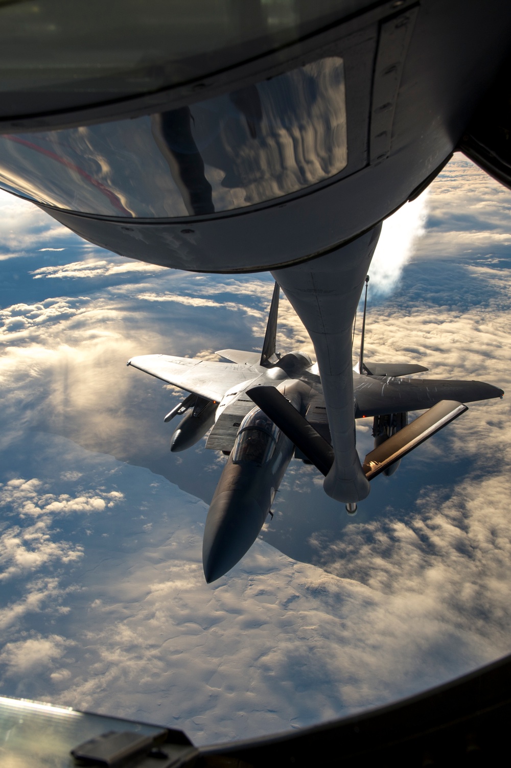 Vigilant Shield 16