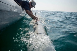 Unmanned underwater vehicles