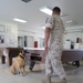 PMO trains military working dog to find narcotics