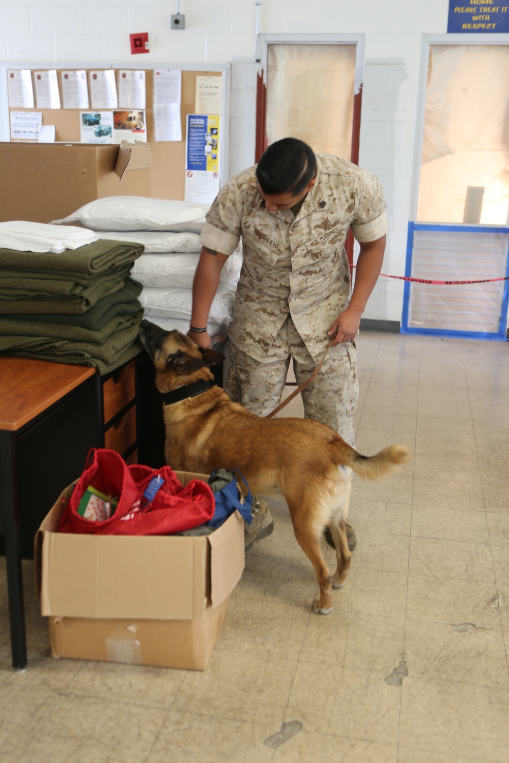 PMO trains military working dog to find narcotics