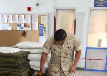 PMO trains military working dog to find narcotics