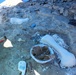 Baby Pentaceratops bones