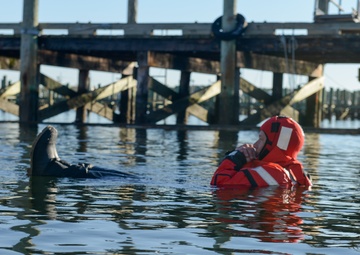 Survival swim