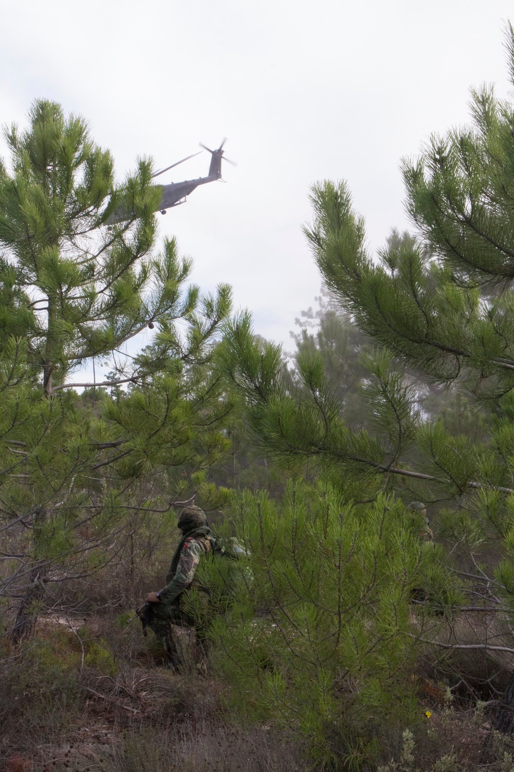 U.S. Marines and Portuguese Marines inserted into training area