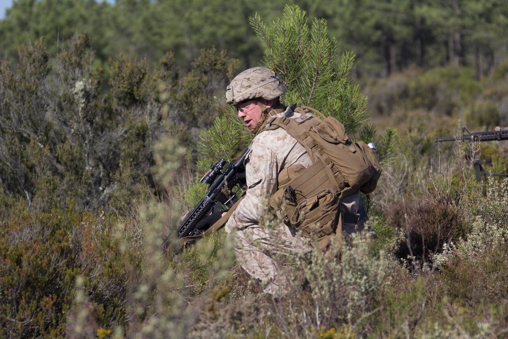 26th MEU and Portuguese Marines live fire exercise