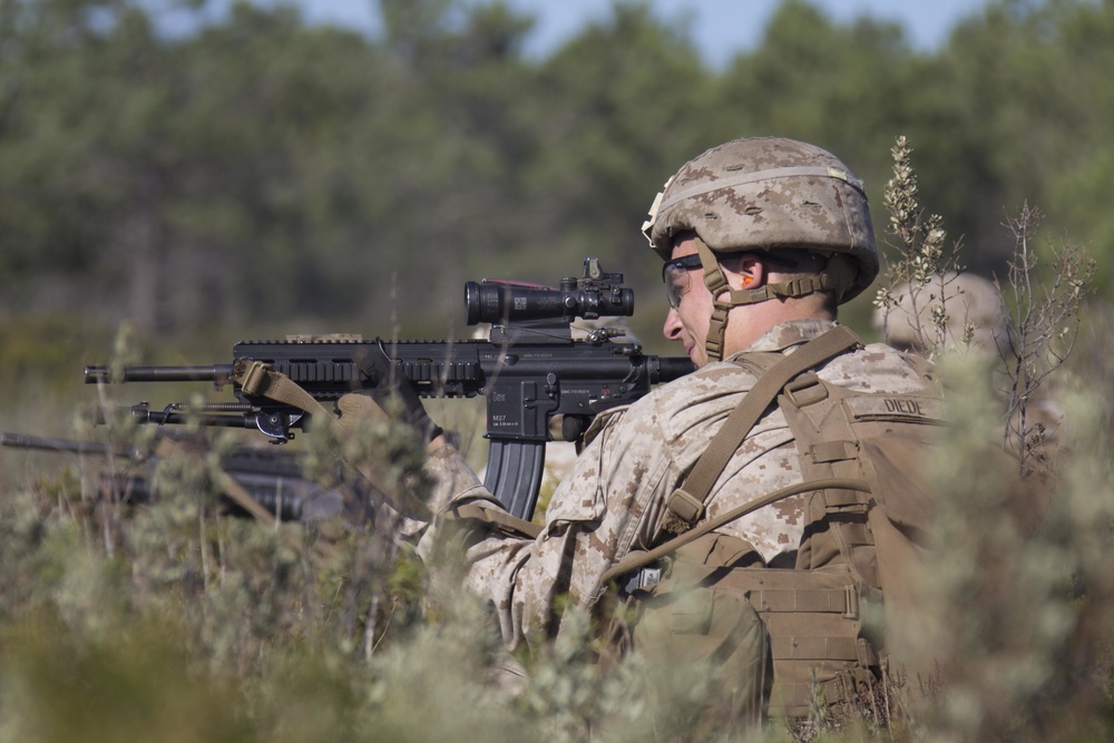 26th MEU and Portuguese Marines live fire exercise