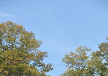 New York Air National Guard conducts Joint Search and Rescue Training