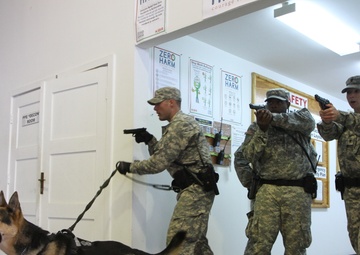 US Army, Austrian military police team up for military working dog training