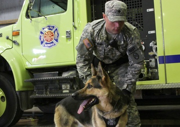 US Army, Austrian military police team up for military working dog training