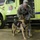 US Army, Austrian military police team up for military working dog training