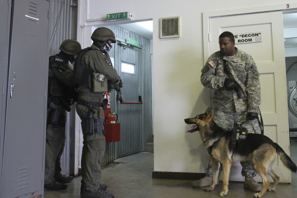 US Army, Austrian military police team up for military working dog training