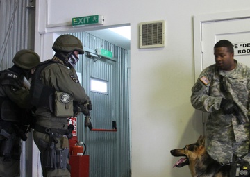 US Army, Austrian military police team up for military working dog training