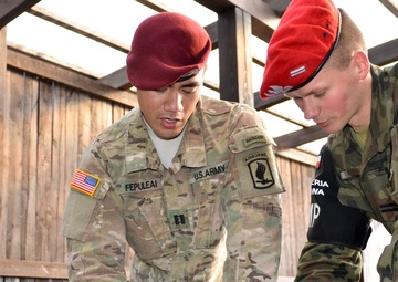 Operation Bayonet Thrust: Strength through partnership