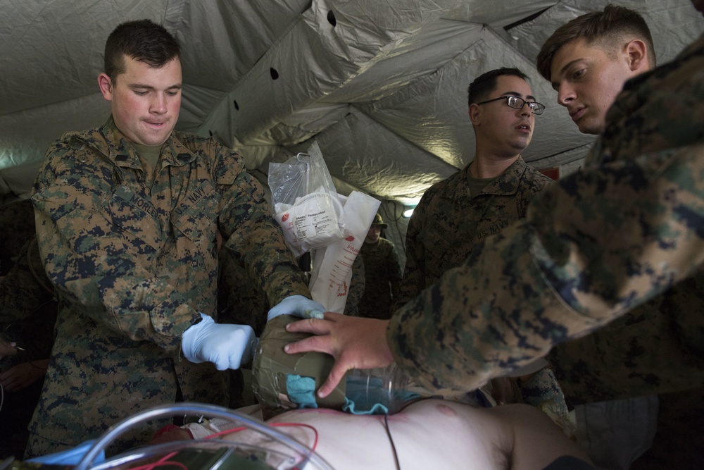 Shock trauma platoon increases readiness during Blue Chromite