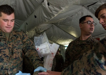 Shock trauma platoon increases readiness during Blue Chromite