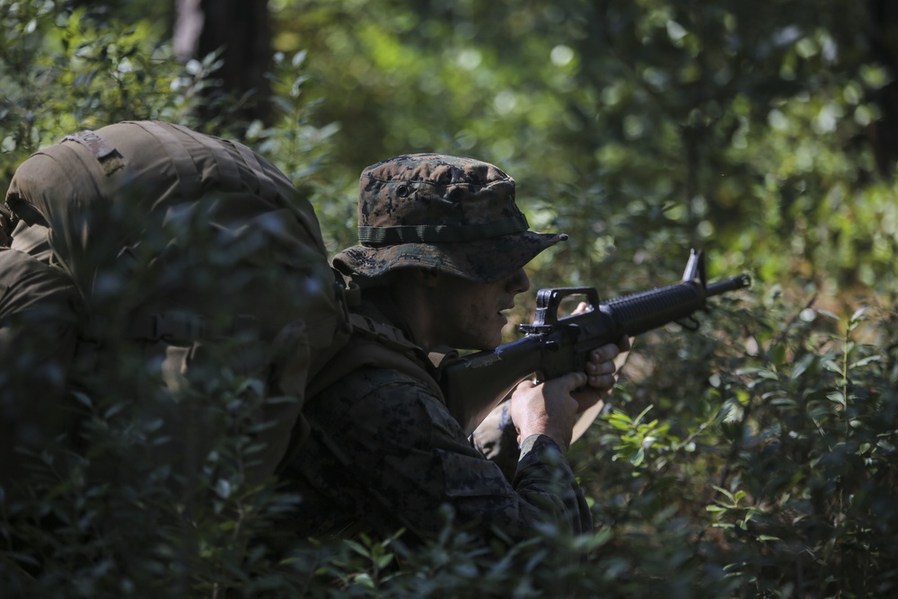 2/8 concludes Scout Sniper Platoon screening week