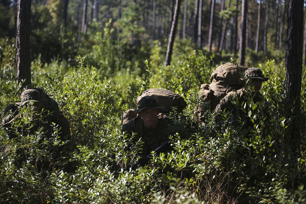 2/8 concludes Scout Sniper Platoon screening week