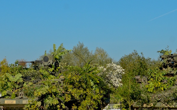 Crossing the Mures River