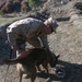 26th MEU conducts military working dog demonstration during Egemen