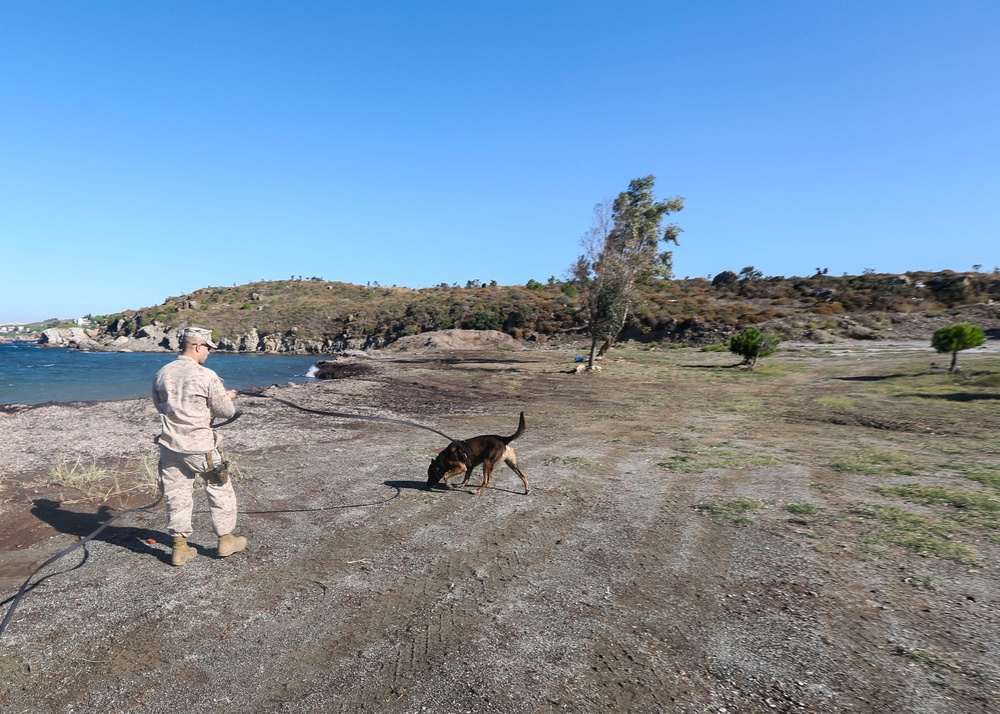 26th MEU conducts military working dog demonstration during Egemen