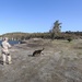 26th MEU conducts military working dog demonstration during Egemen