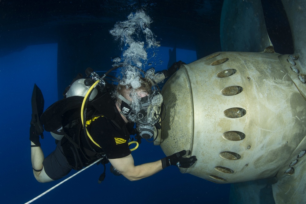 Inspection Dive