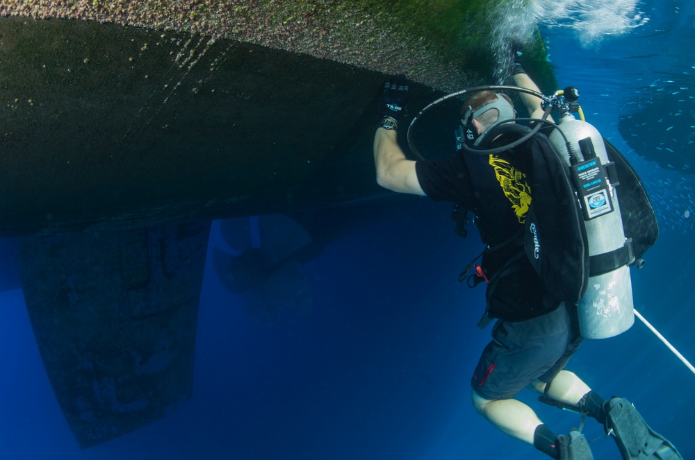 Inspection dive