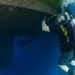 Inspection dive