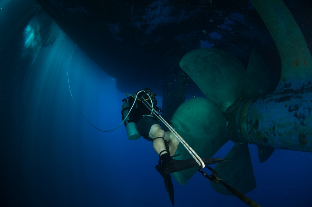 Inspection dive