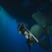 Inspection dive