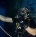Inspection dive