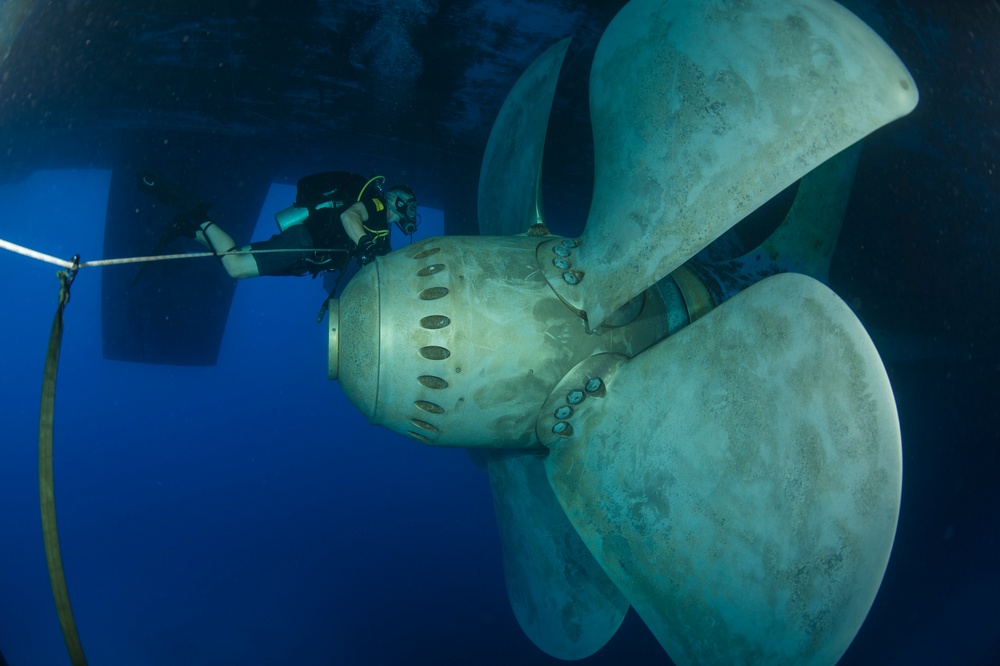 Inspection dive