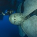 Inspection dive