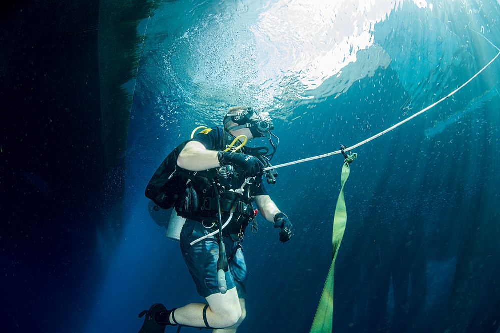 Inspection dive