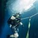 Inspection dive