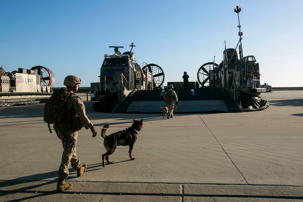 Marine dog teams sniff out trouble