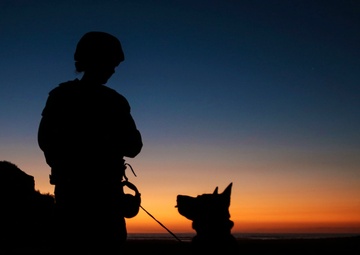 Marine dog teams sniff out trouble