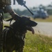 It’s a TRAP! Marine dog tracks personnel for Blue Chromite
